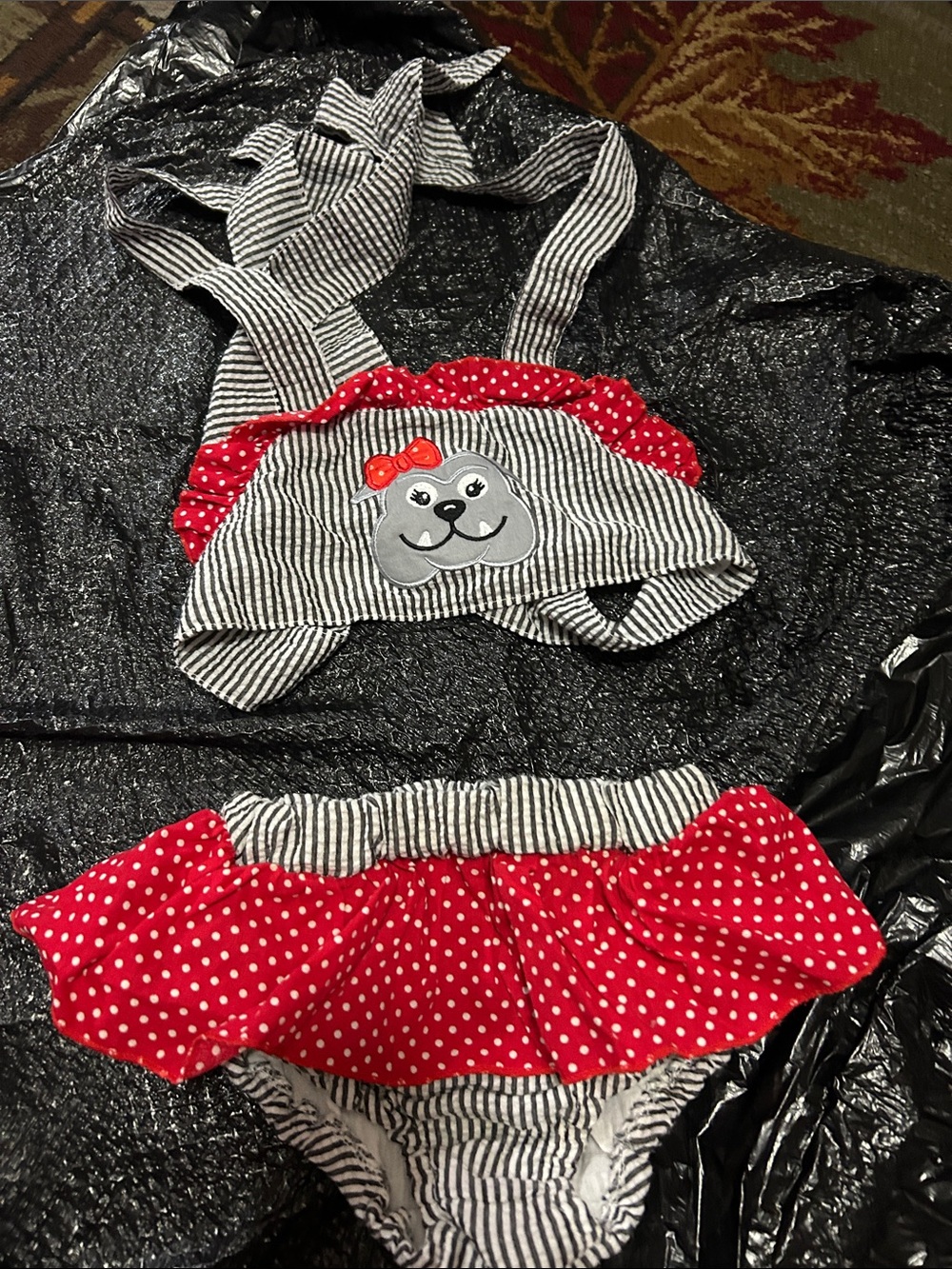 Striped Baby Swim Set with Red Polka Dot Ruffle and Puppy Applique